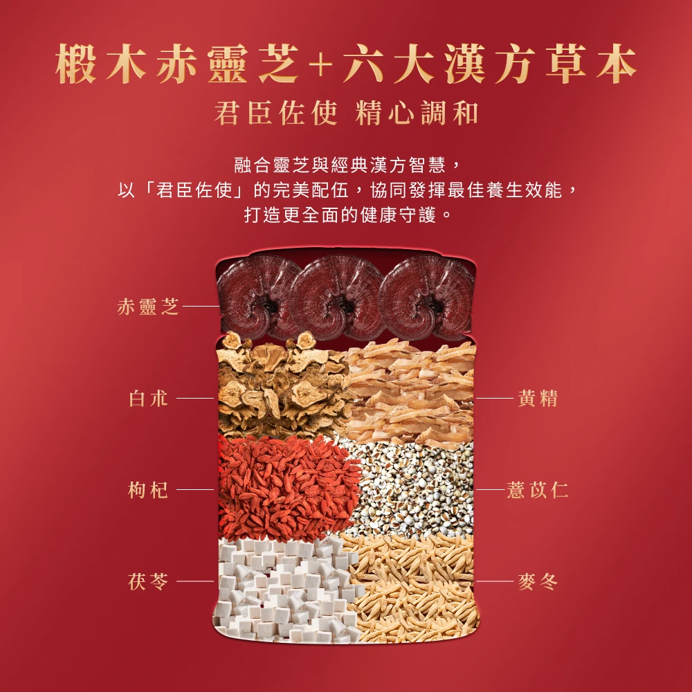 CHIẾT XUẤT NẤM LINH CHI HOÀNG ĐẾ