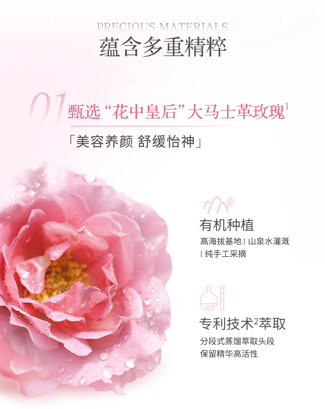 Tinh Chất Dầu Kép Hoa Hồng BEAUTRIO Rose Double Extract Oil