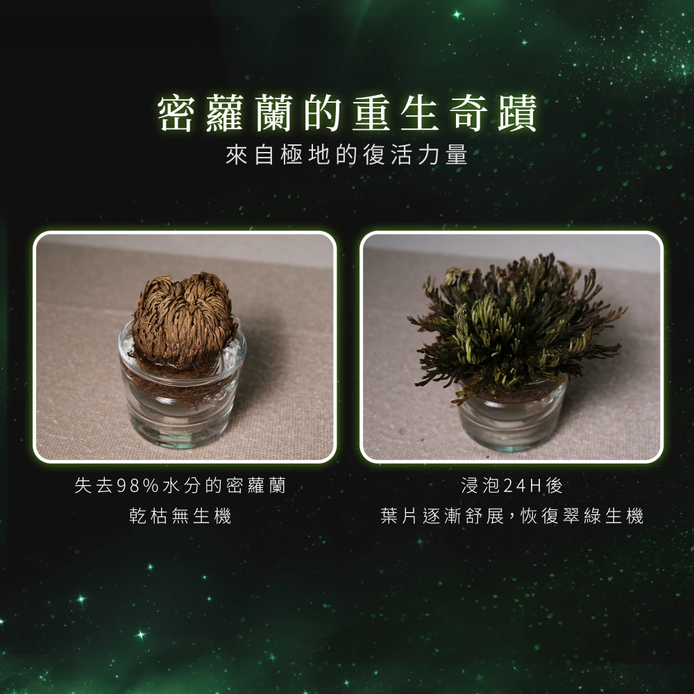 Tinh Chất Beautrio Green Miracle